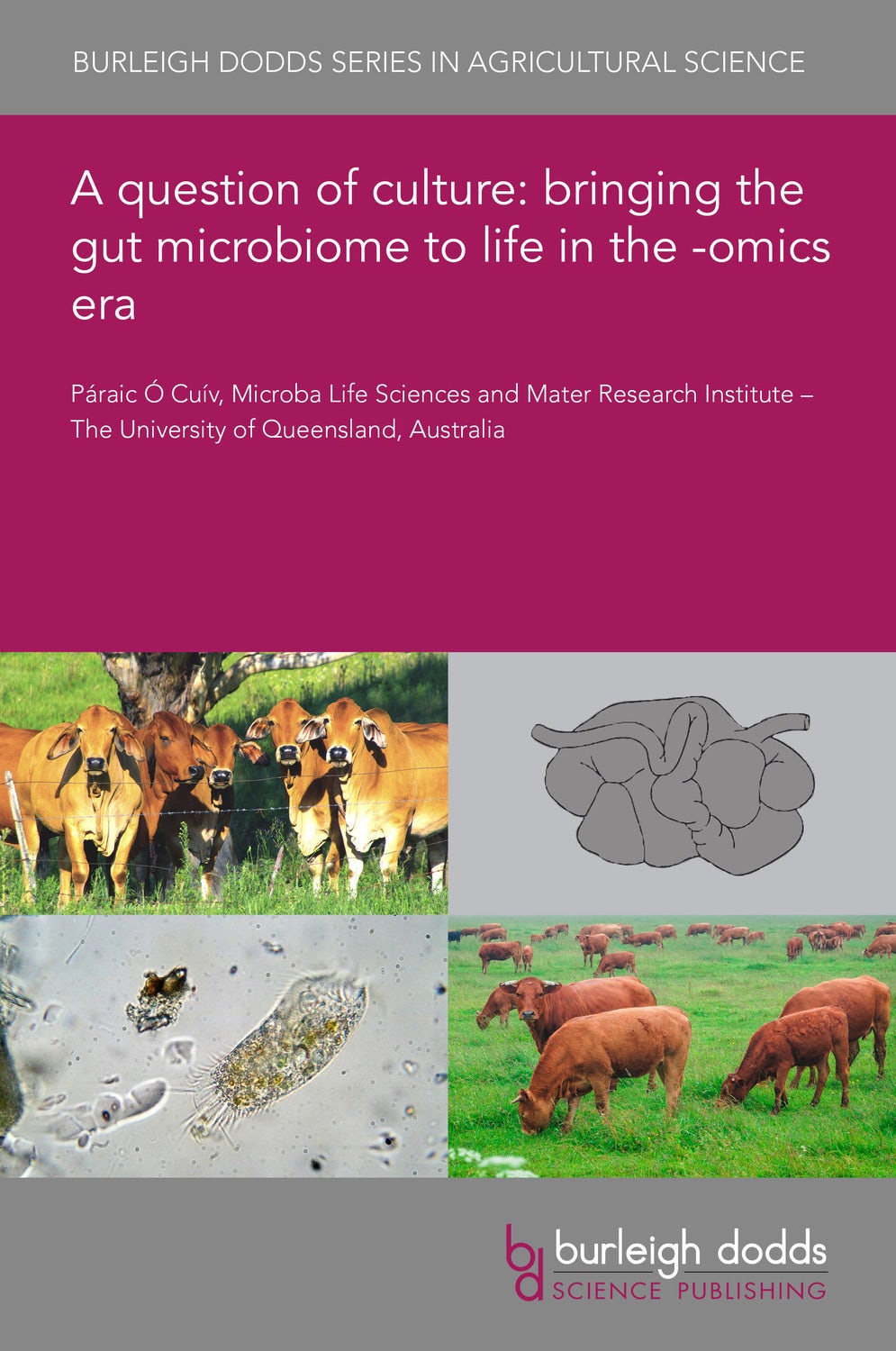 Book cover image for A question of culture: bringing the gut microbiome to life in the -omics era ISBN: 9781786767929